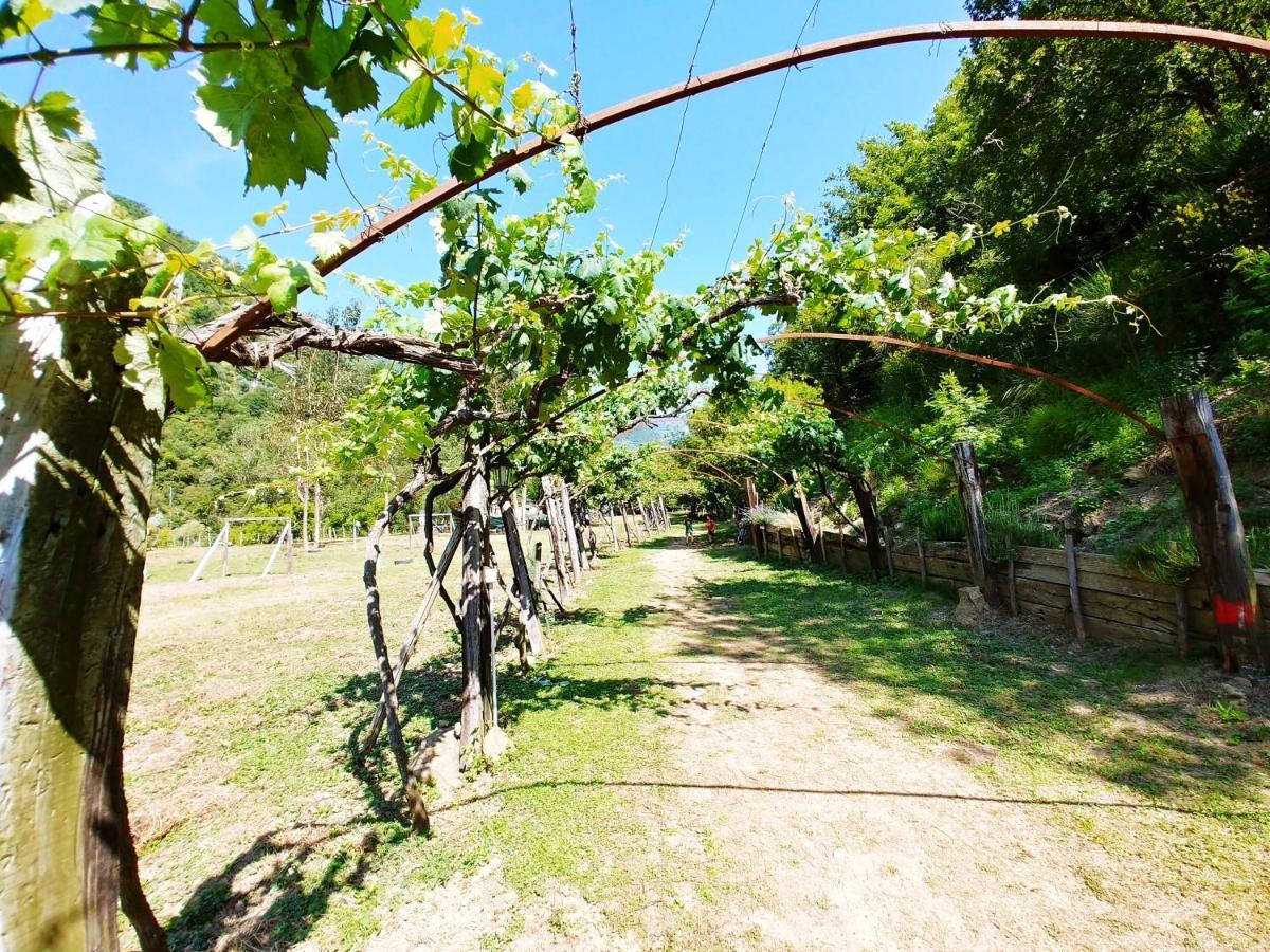 Hotel Agricamping Ponteraggio N.1 Dolceacqua Exterior foto