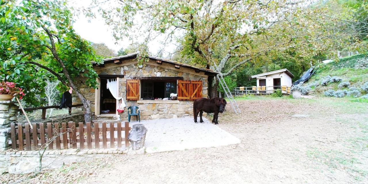 Hotel Agricamping Ponteraggio N.1 Dolceacqua Exterior foto